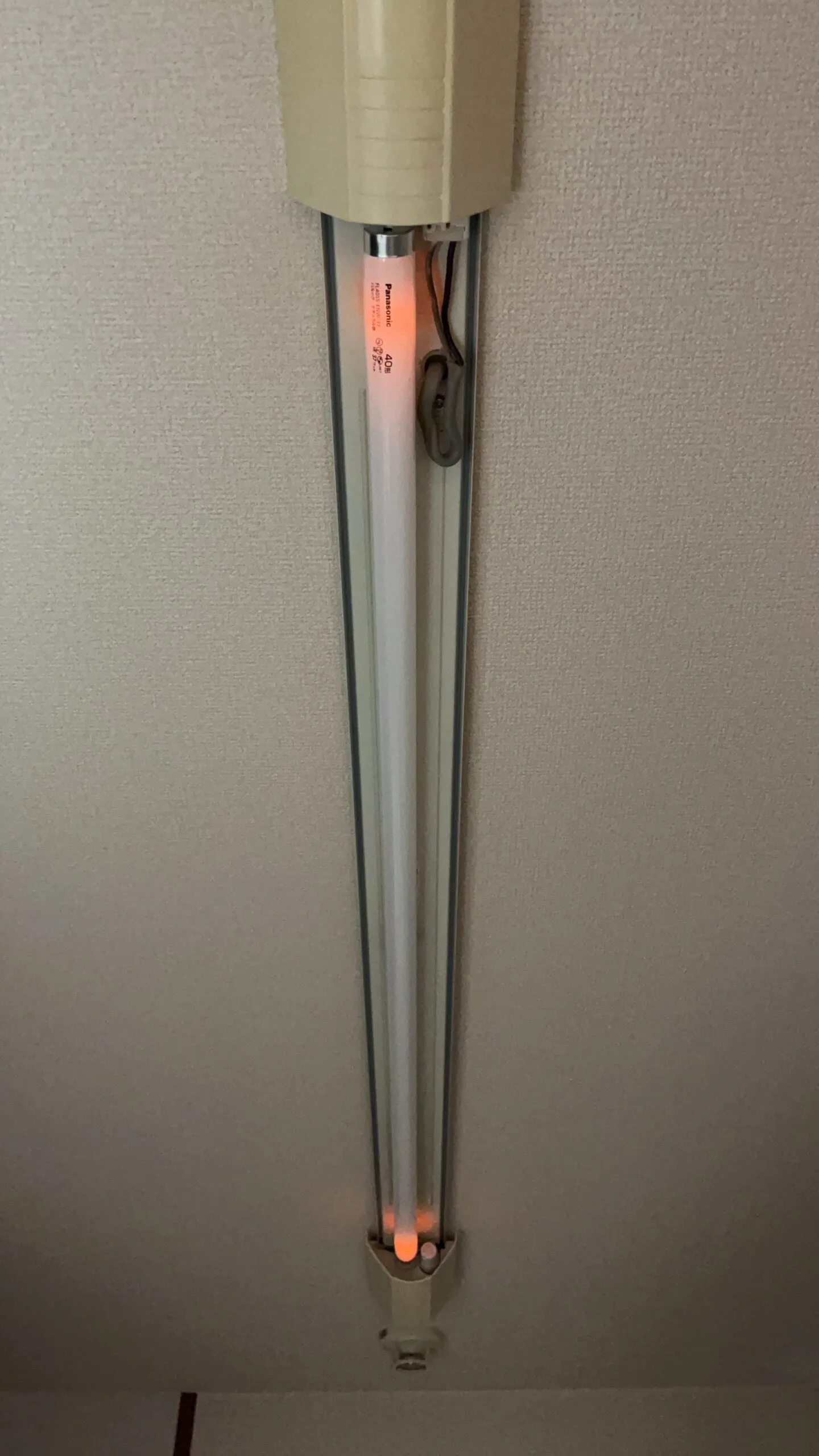 照明から「ジー」と鳴るの施工前
