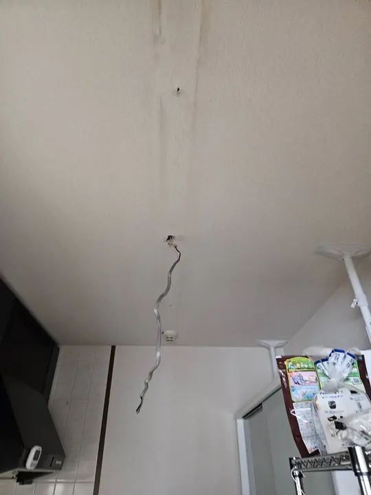 照明から「ジー」と鳴る（大阪市福島区）の施工中の写真1