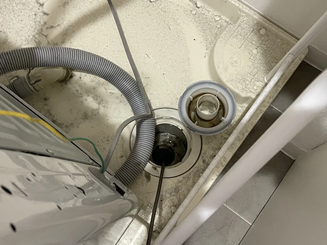 排水口に洗浄ホースを入れている様子（4）